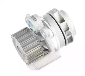 BSG 90-500-010 BSG Водяной насос